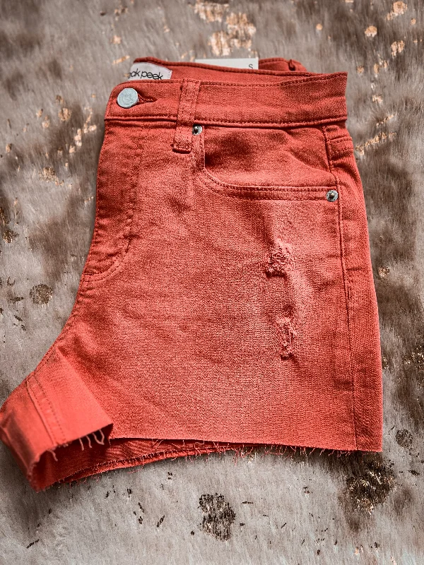 Burnt Sienna Mid Rise Basic Shorts